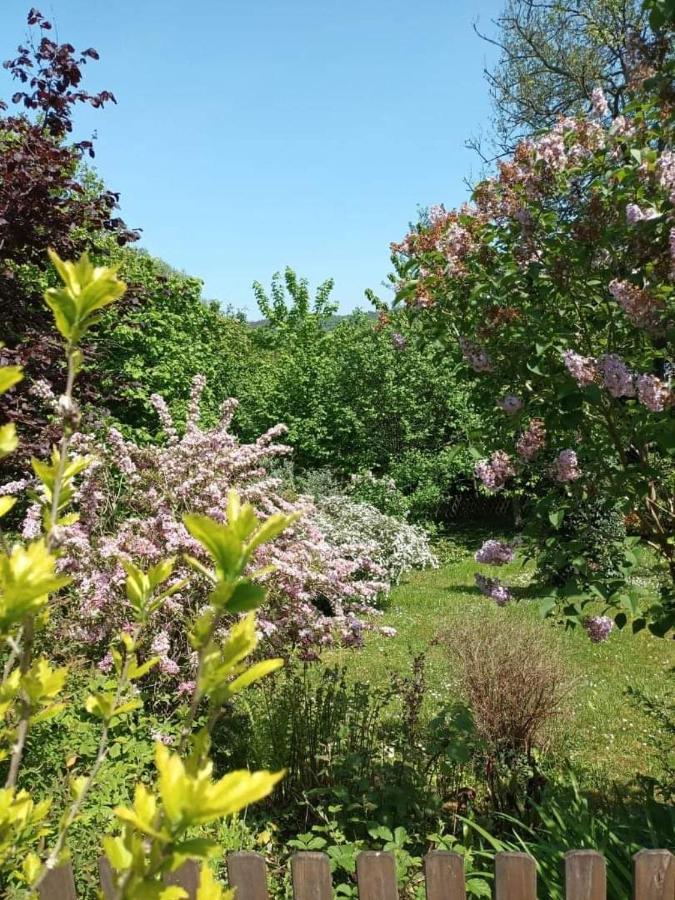 L'Escale Arquaise, La Maison Au Jardin Fleuri A 5 Min De Dieppe Arques-la-Bataille Luaran gambar